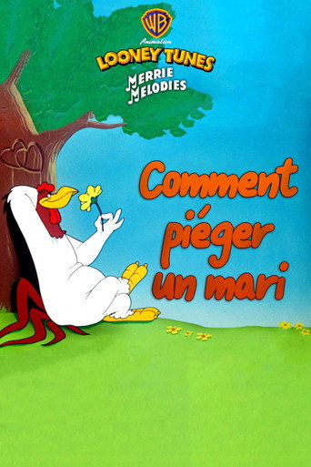 Regarder Comment piéger un mari en streaming complet